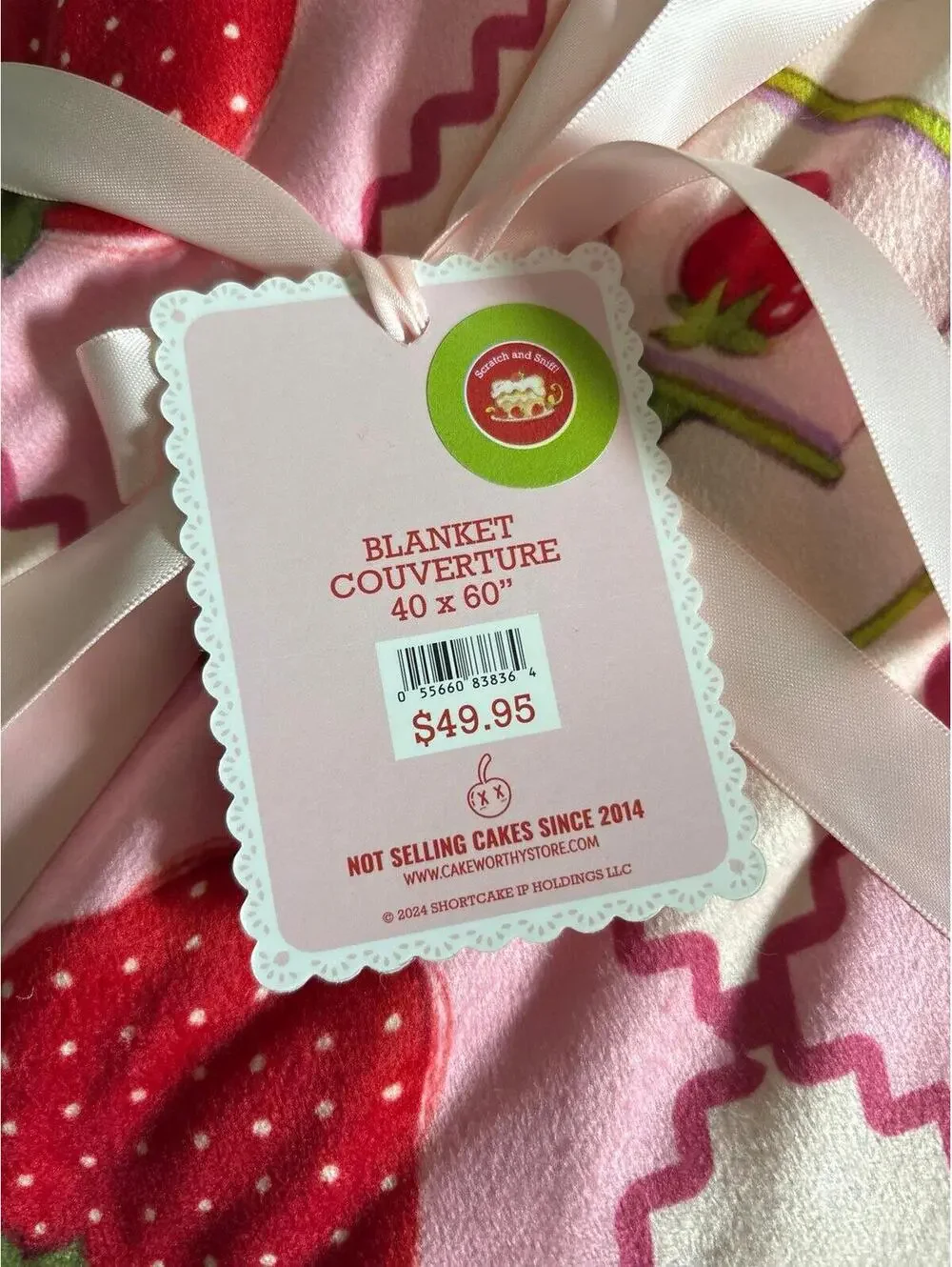 Strawberry Shortcake Cakeworthy 40 x 60 blanket
